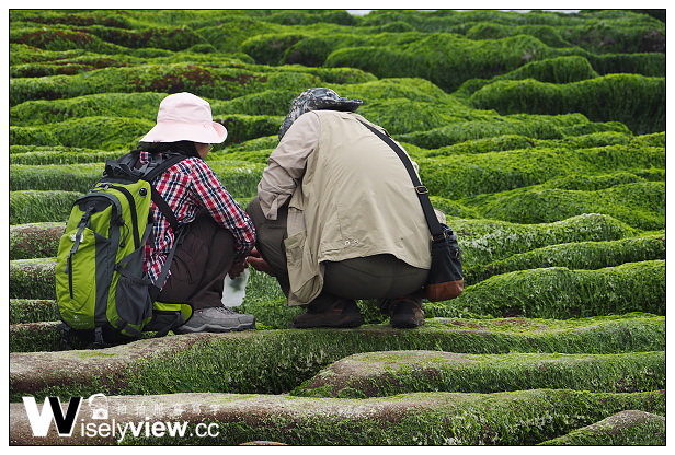 【遊記】新北市。石門區：劉家肉粽、2014老梅綠石槽(季節限定)＠交通資訊與拍攝心得