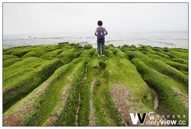 【遊記】新北市。石門區：劉家肉粽、2014老梅綠石槽(季節限定)＠交通資訊與拍攝心得