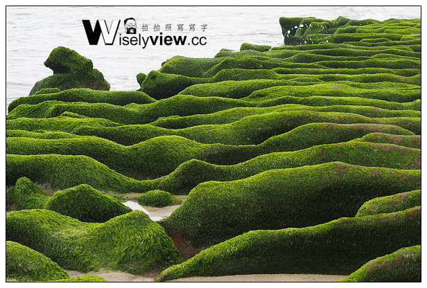 【遊記】新北市。石門區：劉家肉粽、2014老梅綠石槽(季節限定)＠交通資訊與拍攝心得