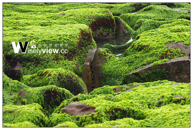 【遊記】新北市。石門區：劉家肉粽、2014老梅綠石槽(季節限定)＠交通資訊與拍攝心得