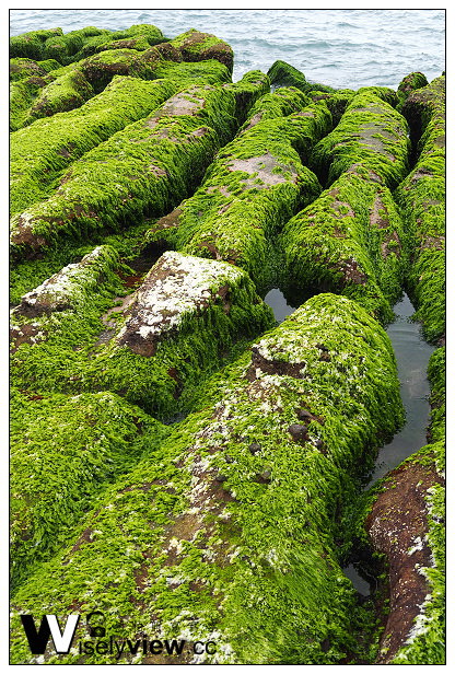 【遊記】新北市。石門區：劉家肉粽、2014老梅綠石槽(季節限定)＠交通資訊與拍攝心得