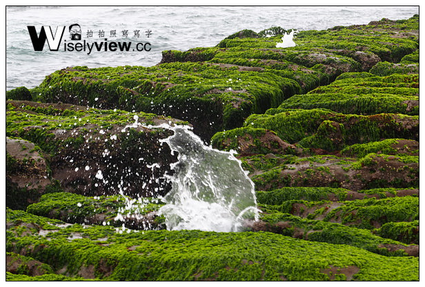 【遊記】新北市。石門區：劉家肉粽、2014老梅綠石槽(季節限定)＠交通資訊與拍攝心得