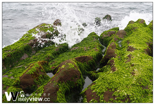 【遊記】新北市。石門區：劉家肉粽、2014老梅綠石槽(季節限定)＠交通資訊與拍攝心得