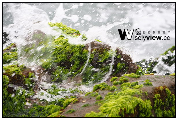 【遊記】新北市。石門區：劉家肉粽、2014老梅綠石槽(季節限定)＠交通資訊與拍攝心得