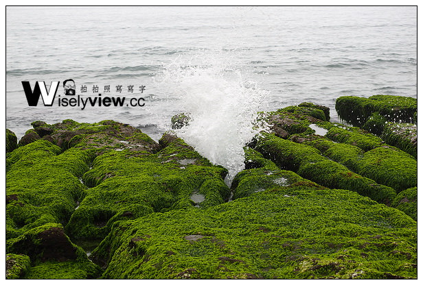 【遊記】新北市。石門區：劉家肉粽、2014老梅綠石槽(季節限定)＠交通資訊與拍攝心得