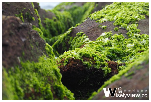 【遊記】新北市。石門區：劉家肉粽、2014老梅綠石槽(季節限定)＠交通資訊與拍攝心得