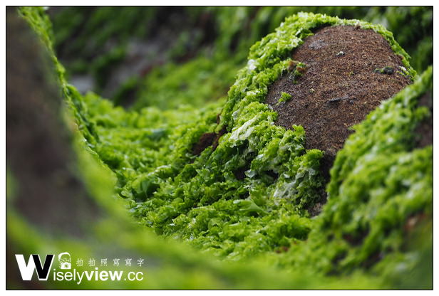 【遊記】新北市。石門區：劉家肉粽、2014老梅綠石槽(季節限定)＠交通資訊與拍攝心得