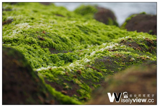 【遊記】新北市。石門區：劉家肉粽、2014老梅綠石槽(季節限定)＠交通資訊與拍攝心得