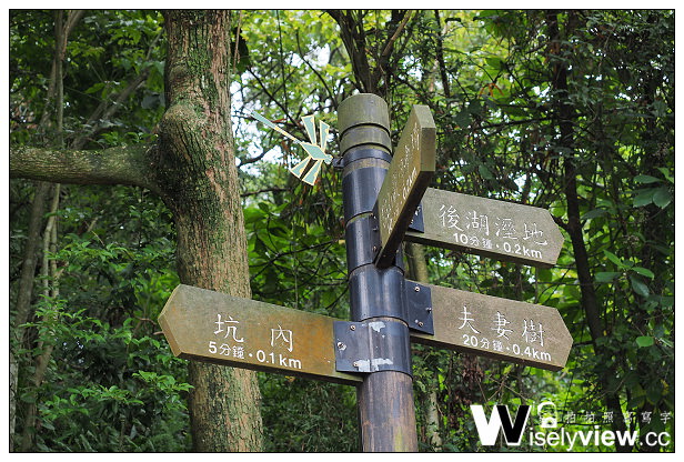 【遊記】台北市。內湖區：碧山巖風景區＠白石湖吊橋、鐵砲百合、穠舍田園咖啡、內湖101景觀茶棧～周休二日景點