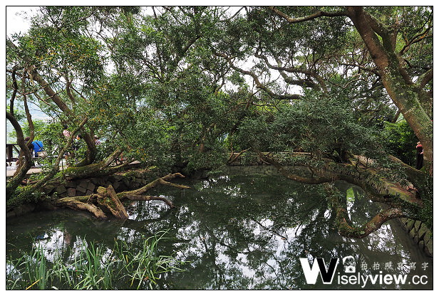 【遊記】台北市。內湖區：碧山巖風景區＠白石湖吊橋、鐵砲百合、穠舍田園咖啡、內湖101景觀茶棧～周休二日景點