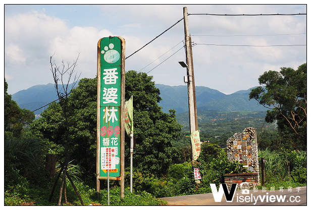 【遊記】新北市。三芝區：番婆林休閒農場(愛情花)、番婆林巨無霸牛排＠周休二日好去處