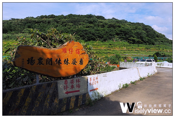 【遊記】新北市。三芝區：番婆林休閒農場(愛情花)、番婆林巨無霸牛排＠周休二日好去處