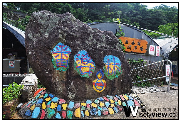 【遊記】新北市。三芝區：番婆林休閒農場(愛情花)、番婆林巨無霸牛排＠周休二日好去處