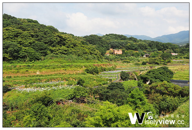 【遊記】新北市。三芝區：番婆林休閒農場(愛情花)、番婆林巨無霸牛排＠周休二日好去處