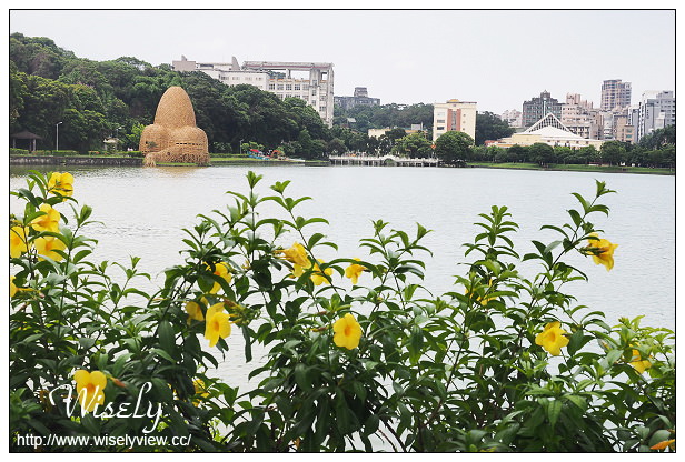 【遊記】台北市。內湖區：碧湖公園＆碧湖織屋＠竹編特色城堡，夜間光影更夢幻
