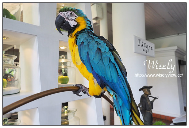 【旅行】泰國。華欣：安納塔拉華欣SPA度假村(Anantara Hua Hin Resort & Spa)～圖多分頁