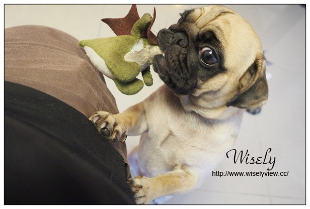 【歇業】宜蘭縣。頭城鎮：七海之隅民宿＠年輕風格可帶寵物入住，近烏石港蘭陽博物館