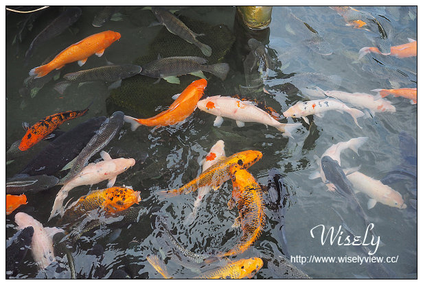 【遊記】宜蘭縣。冬山鄉：觀光工廠＠廣興農場-鴨母寮與豬哥窟，農村懷舊體驗焢窯摸蜆