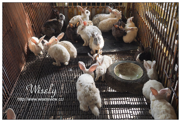 【遊記】宜蘭縣。冬山鄉：觀光工廠＠廣興農場-鴨母寮與豬哥窟，農村懷舊體驗焢窯摸蜆