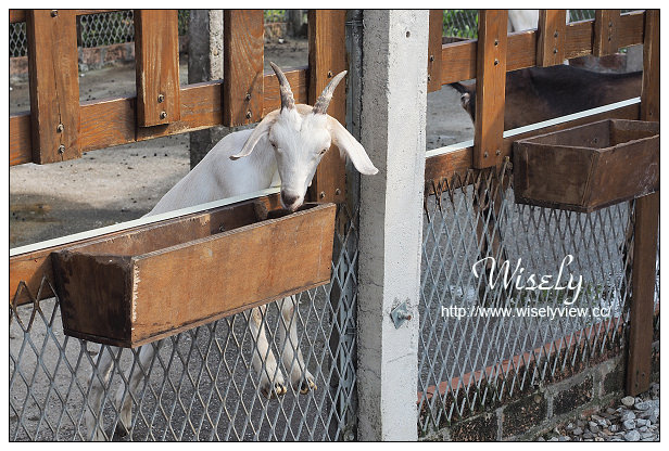 【遊記】宜蘭縣。冬山鄉：觀光工廠＠廣興農場-鴨母寮與豬哥窟，農村懷舊體驗焢窯摸蜆