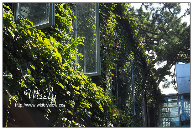 【遊記】花蓮縣。花運市：松園別館、臥松園區＠日式懷舊建築，漫步幽靜老松林間