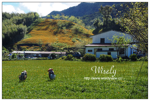 【遊記】花蓮縣。玉里鎮：2014赤柯山金針花(最大值九月上旬)@大石茶園、小瑞士農場、汪家古厝、萱園居、三顆奇石&竹林園區～拍攝心得與路線分享