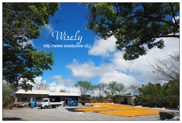 【遊記】花蓮縣。玉里鎮：2014赤柯山金針花(最大值九月上旬)@大石茶園、小瑞士農場、汪家古厝、萱園居、三顆奇石&竹林園區～拍攝心得與路線分享