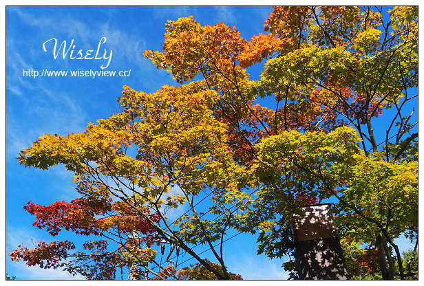 【旅行】2014日本。群馬縣(涉川市)：伊香保町-石段街＠羅馬浴場場景，400年歷史溫泉老街