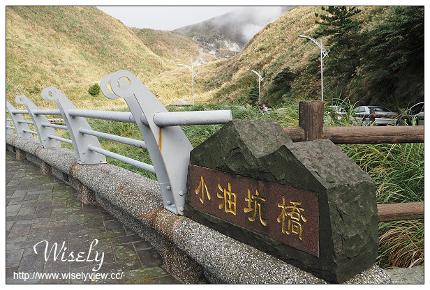 【遊記】台北市。北投區：陽明山芒草景點＠小油坑橋～仰望火山噴氣孔與歐風秋芒景色