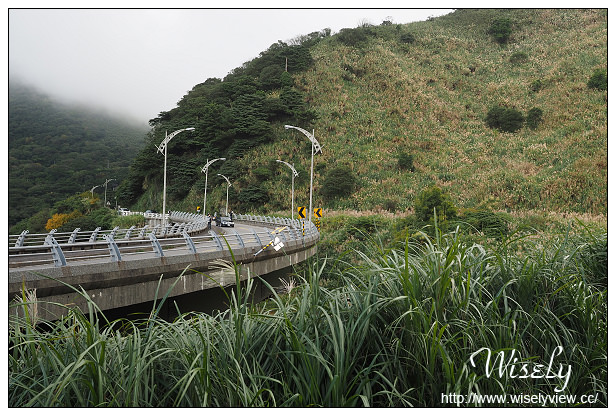 【遊記】台北市。北投區：陽明山芒草景點＠小油坑橋～仰望火山噴氣孔與歐風秋芒景色