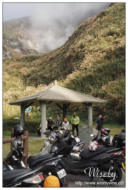 【遊記】台北市。北投區：陽明山芒草景點＠小油坑橋～仰望火山噴氣孔與歐風秋芒景色