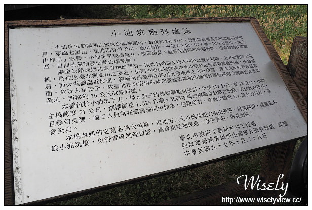 【遊記】台北市。北投區：陽明山芒草景點＠小油坑橋～仰望火山噴氣孔與歐風秋芒景色