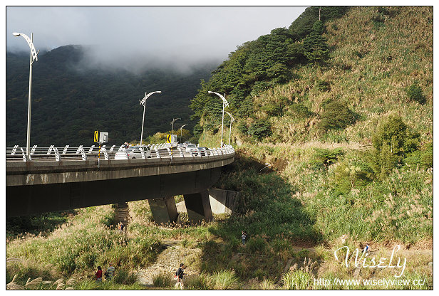 【遊記】台北市。北投區：陽明山芒草景點＠小油坑橋～仰望火山噴氣孔與歐風秋芒景色
