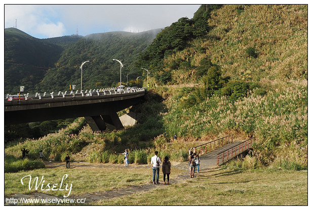 【遊記】台北市。北投區：陽明山芒草景點＠小油坑橋～仰望火山噴氣孔與歐風秋芒景色