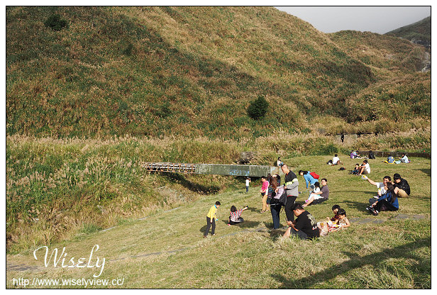 【遊記】台北市。北投區：陽明山芒草景點＠小油坑橋～仰望火山噴氣孔與歐風秋芒景色