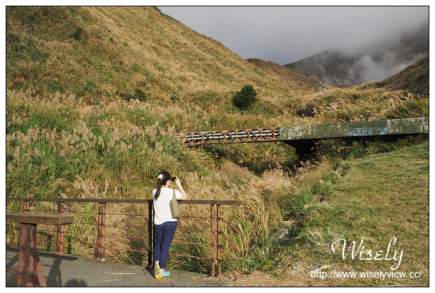 【遊記】台北市。北投區：陽明山芒草景點＠小油坑橋～仰望火山噴氣孔與歐風秋芒景色