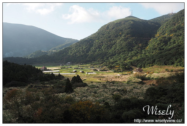 【遊記】台北市。北投區：陽明山芒草景點＠小油坑橋～仰望火山噴氣孔與歐風秋芒景色