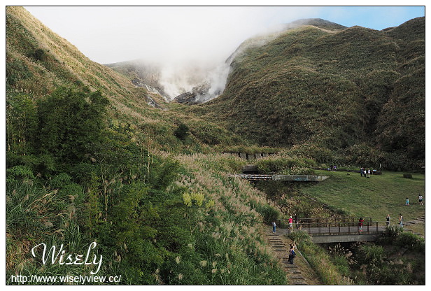 【遊記】台北市。北投區：陽明山芒草景點＠小油坑橋～仰望火山噴氣孔與歐風秋芒景色