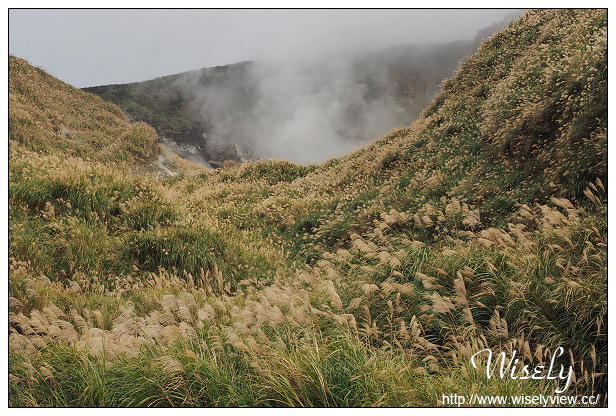 【遊記】台北市。北投區：陽明山芒草景點＠小油坑橋～仰望火山噴氣孔與歐風秋芒景色