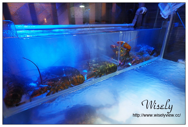 【食記】高雄市。苓雅區：食尚圓桌海鮮鍋物＠雙人海陸活龍蝦套餐，份量多夠超值！