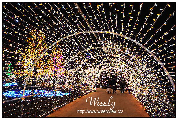 【旅行】日本。大阪：2014大阪城光之陣＠冬季限定光之藝術季，3D投影音樂光雕秀(2014/12/13~2015/3/1)