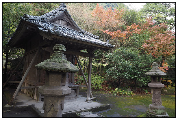 《鹿兒島景點。仙巖園二訪》手作工藝品店、貓神神社～貓奴必訪景點