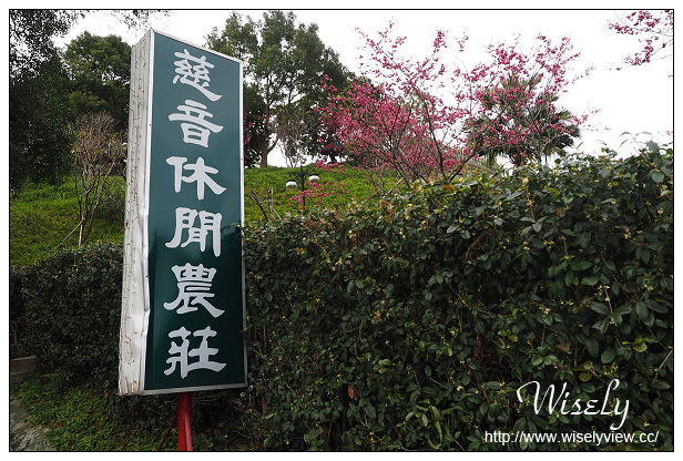 【遊記】台北市。文山區：政大貓空老泉里一日遊@慈音休閒農莊(養生健康素食、山櫻花隨拍)，木柵杏花林(阿桃草仔粿、賞花路線、在地小吃)