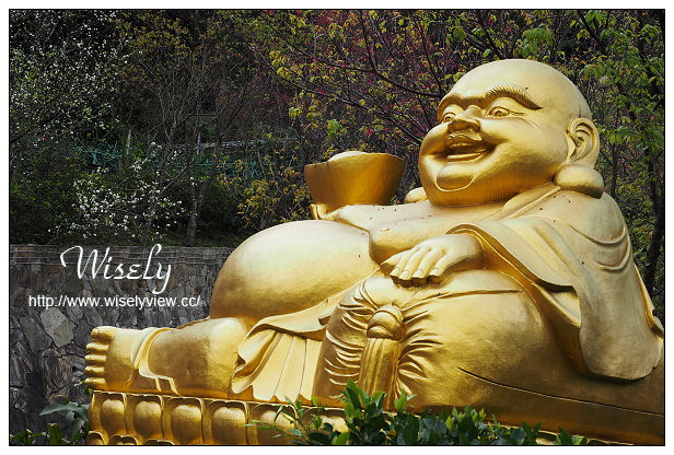 【遊記】台北市。文山區：政大貓空老泉里一日遊@慈音休閒農莊(養生健康素食、山櫻花隨拍)，木柵杏花林(阿桃草仔粿、賞花路線、在地小吃)