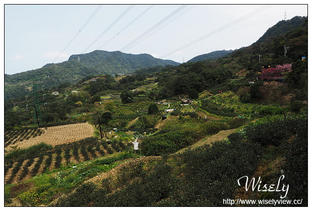 【遊記】台北市。文山區：政大貓空老泉里一日遊@慈音休閒農莊(養生健康素食、山櫻花隨拍)，木柵杏花林(阿桃草仔粿、賞花路線、在地小吃)