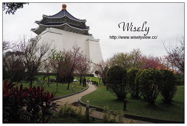 台北賞櫻景點。中正紀念堂櫻花︱杭州南路段(山櫻花)、愛國東路段(大漁櫻)～賞櫻路線交通分享