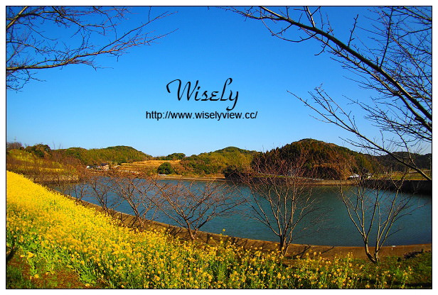 【旅行】日本九州。長崎縣：壹崎島一日遊行程＠半城灣、勝本朝市、王都復元公園、筒城濱海水浴場、壱岐牛うめしま、月讀神社、住吉神社、玄海酒造、猿岩、(湯本溫泉)平山旅館