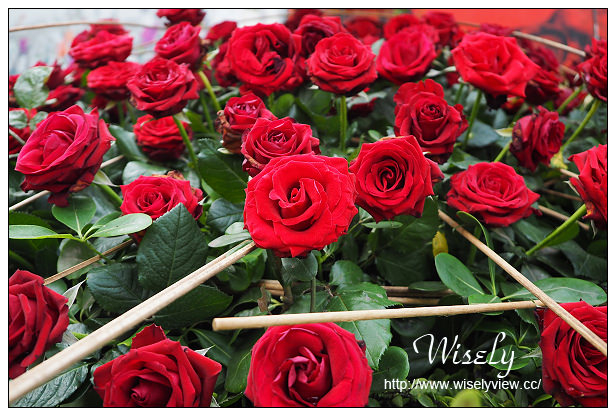 【遊記】台北市。士林區：士林夜市＠大統一牛排、北投蔡元益紅茶，2015士林官邸玫瑰展