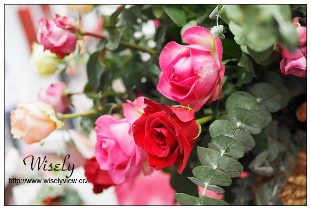 【遊記】台北市。士林區：士林夜市＠大統一牛排、北投蔡元益紅茶，2015士林官邸玫瑰展