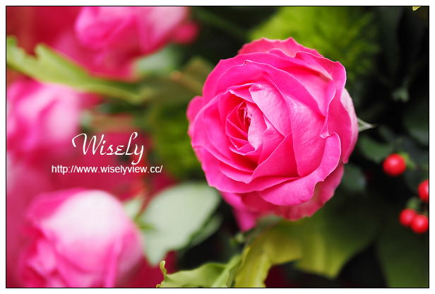 【遊記】台北市。士林區：士林夜市＠大統一牛排、北投蔡元益紅茶，2015士林官邸玫瑰展